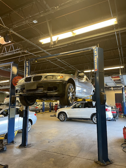 paddock-imports-denver - Auto Service Shop