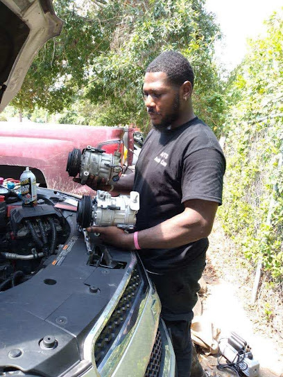 ants-auto-care-llc-houston - Auto Service Shop