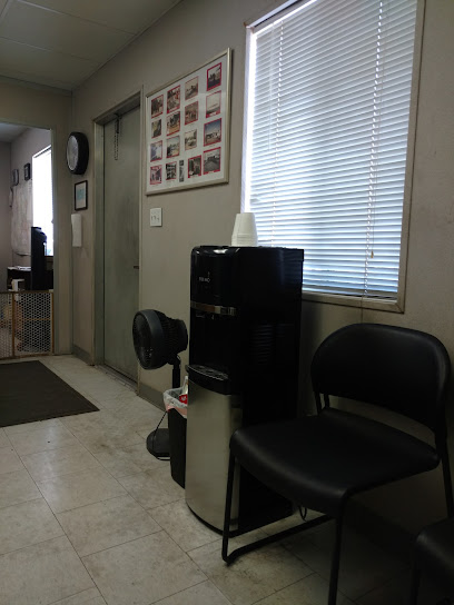 tire-dawgs-phoenix - Auto Service Shop