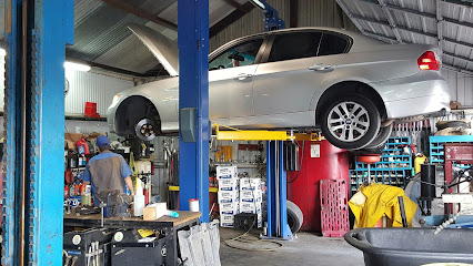 pharaoh-imports-domestics-sanantonio - Auto Service Shop
