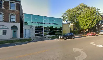 asian-domestic-authority-inc-chicago - Auto Repair Shop
