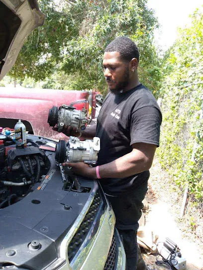 Ant's Auto care LLC